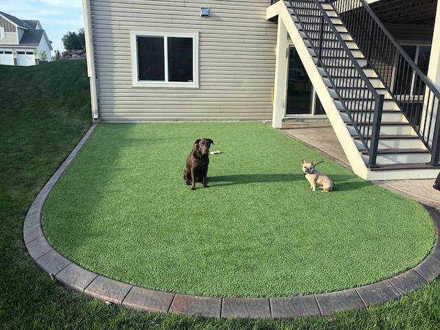 Fake lawn for clearance dogs to pee on